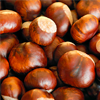 horse chestnut extract - Steplex Composition 